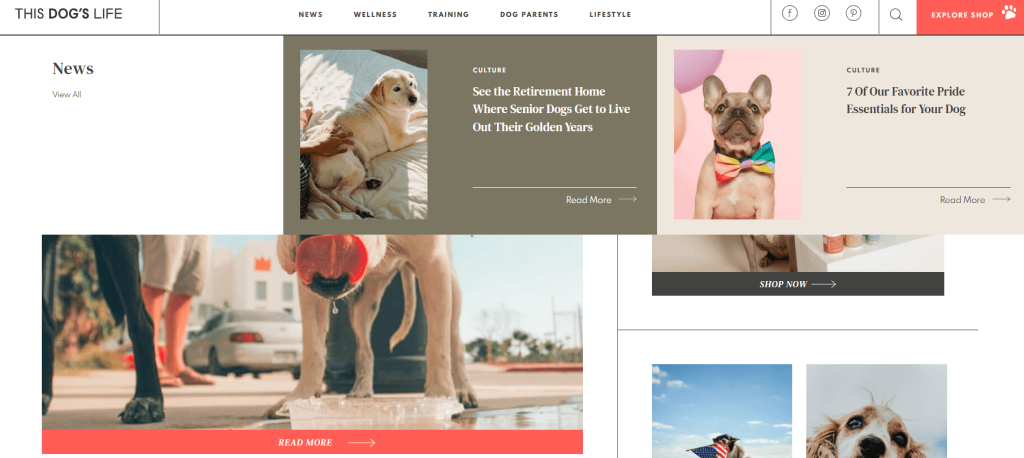 this-dogs-life-homepage