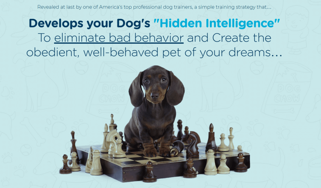 brain-training-for-dogs