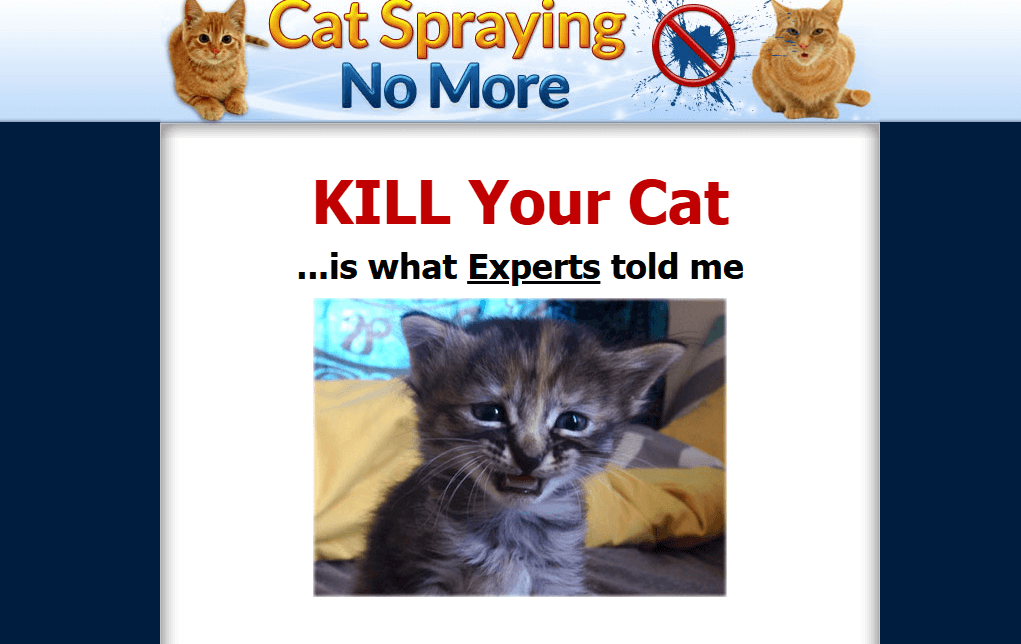 cat-spraying-no-more-homepage