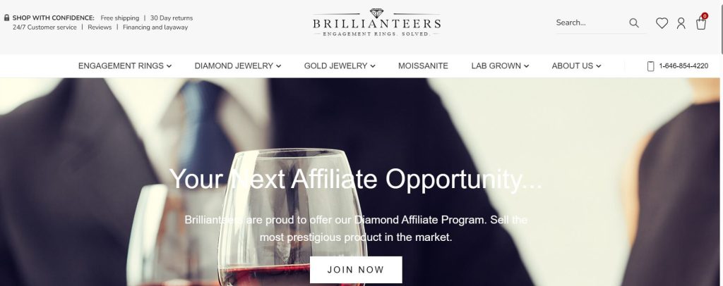 brillian-teers-affiliate-program